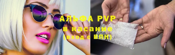 крисы Абаза