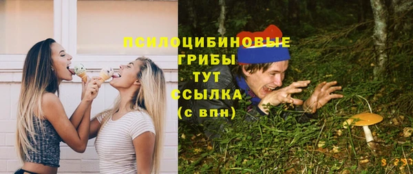 крисы Абаза