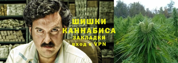 крисы Абаза