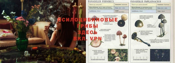 a pvp Абдулино