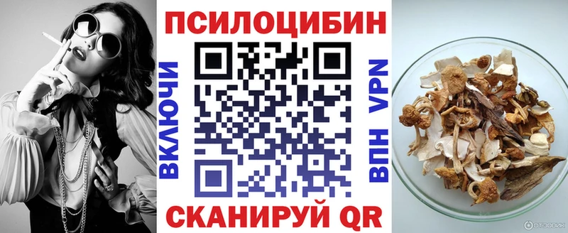 Псилоцибиновые грибы Cubensis  Звенигород 
