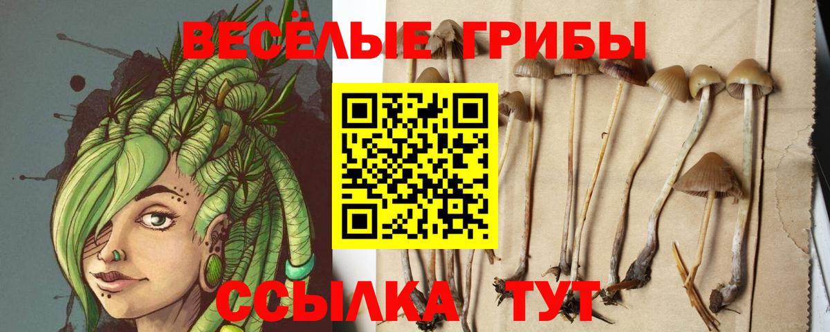 Галлюциногенные грибы мицелий Звенигород
