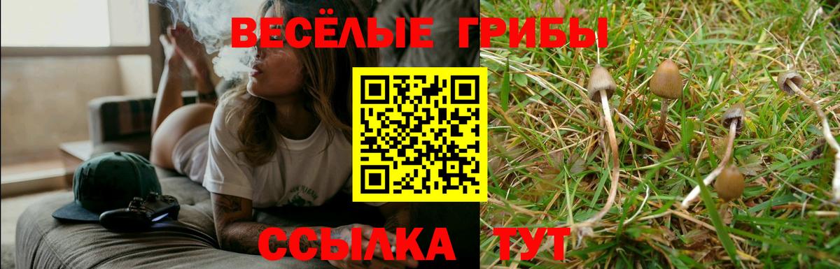 Звенигород  Псилоцибиновые грибы мицелий  Псилоцибиновые грибы ЛСД  Вход с VPN 